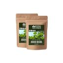 Blessfull Healing Organic Ginkgo Biloba Powder 100% Pure Natural 100 Gram (3.52 oz) Each (Pack of 2) = 200 Grams, Vegan