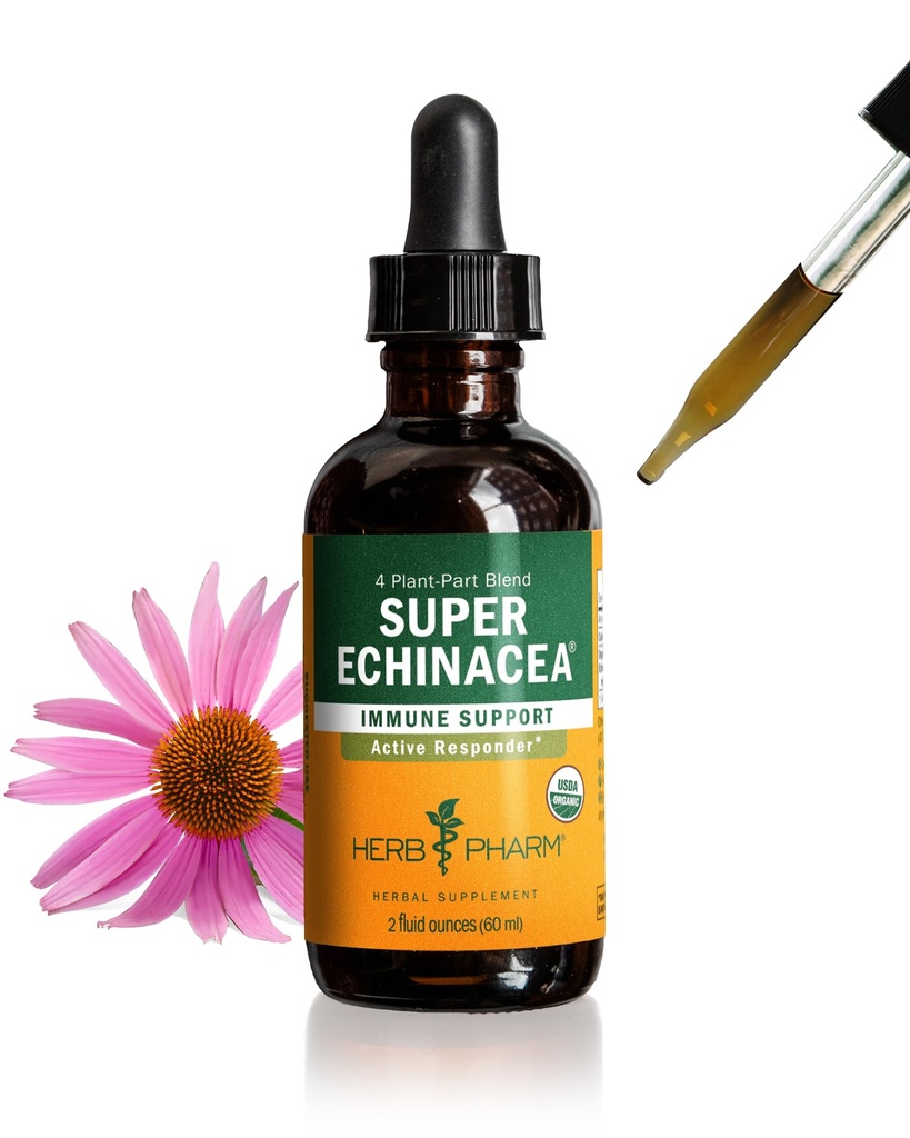 Herb Pharm Certified Organic Super Echinacea Flüssigkeitsextrakt Tropfen für aktive Immunsystem Unterstützung, 2 Oz