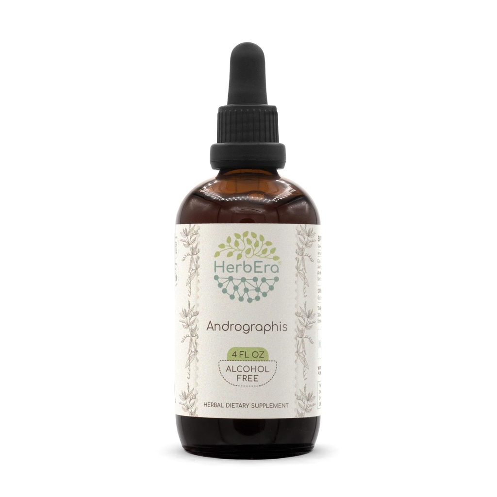 HerbEra Andrographis B120 Alcohol-Free Herbal Extract Tincture, Fah talai jone, Chuan Xin Lian, Andrographis paniculata Dried Herb (4 fl oz)