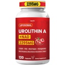 Urolithin A Supplement 2295mg, High Potency Liposomal Formula with NAD, PQQ, CoQ10 Resveratrol, Mitochondrial Support, Promote Cellular Energy, Muscle Strength, Anti-Aging, 120 Vegan Non-GMO Capsules