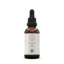 HerbEra Licorice B60 USDA Organic Tincture | Alcohol-Free Extract, High-Potency Herbal Drops | Certified Organic Licorice (Glycyrrhiza Glabra) Dried Root (2 oz)