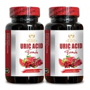 URIC Acid Complex - Support Joint Comfort, Mobility, Flexibility, Includes Tart Cherry, Chanca Piedra, Celery Extract & Turmeric - 2 Bottles 120 Capsules