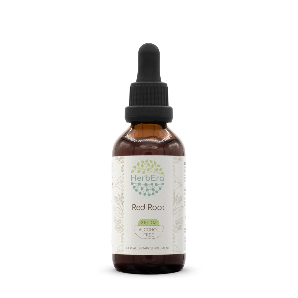 HerbEra Red Root Alcohol-Free Herbal Extract Tincture, Concentrated (New Jersey Tea, Ceanothus Americanus) 2 fl oz