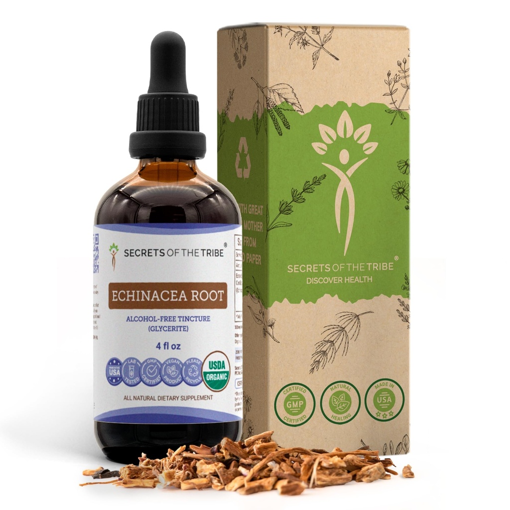 Echinacea Root USDA Organic Tincture | Alkoholfreier Extrakt, hochkarätige Kräutertropfen, Immunsystem Gesundheit | Hergestellt aus 100% Certified Organic Echinacea Root (Echinacea Purpurea) 4 oz