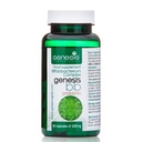 Genesis Bifidobacterium Complex BB Probiotic May Support Gut Helth, Digestion, Immune System 240 Mg per Capsule 90 caps