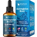 4 Oz Astragalus Extract Liquid Drops 2000mg (Astragalus membranaceus) Herbal Supplement, 168 Servings, Alcohol-Free Tincture
