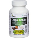 Siberian Chaga Mushroom Extract with Betulin – 90 Capsules/440mg ea | Wild-Harvested Antioxidant Blend – Immune System Support & Regulate Body Functions – Vegan, Non-GMO, No Fillers or Additives