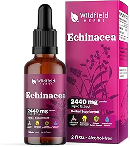 Flüssiger Echinacea-Extrakt - Echinacea Root Tropfen Tinktur 2440mg (Echinacea purpurea) Kräuterergänzung absorbiert besser als Kapseln, 1 Monat Versorgung, 84 Servierungen, Alkoholfrei - 2 Oz, Packung von 1