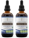 Echinacea Root USDA Organic Tincture | Alkoholfreier Extrakt, hochkarätige Kräutertropfen, Immunsystem Gesundheit | Hergestellt aus 100% Certified Organic Echinacea Root (Echinacea Purpurea) 2x4 oz
