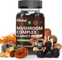 9 in 1 Pilzgummis mit Lion's Mane für Fokus-Ergänzung und Energie-Ergänzungen zur Unterstützung Immunsystem De-Stress Boost Mood & Energy 60 Count Kombucha Flavor