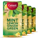 Celest Ginger Mint Lemon Green Tea 400 Tea Bags | Immunity Support | Refreshing & Energizing | Pack of 4