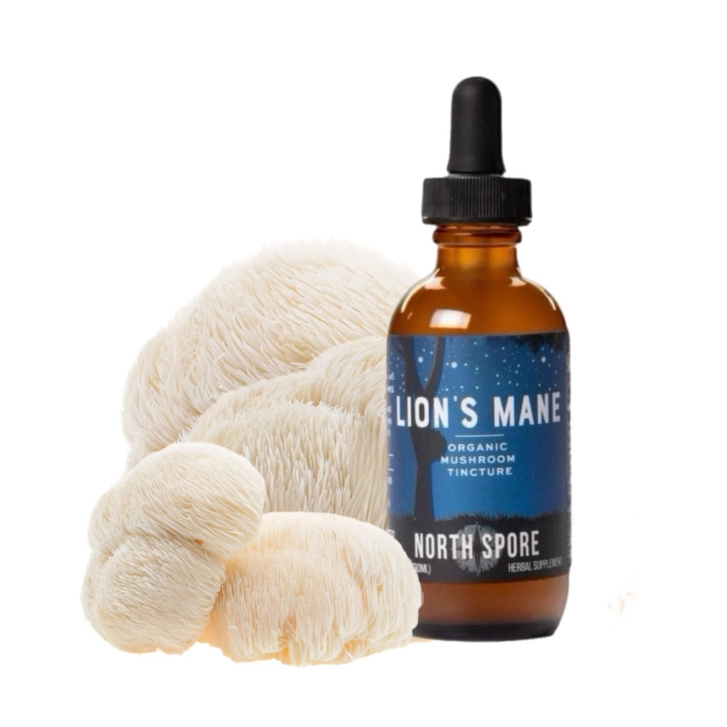 North Spore Organic Lion's Mane Mushroom Tincture (2 oz) | 100% Fruchtkörper-Extrakte | für Fokus, Gedächtnis, Gehirn-Unterstützung | Certified Organic, Vegan, Non-GMO | Adaptogenic, Nootropic | Made in USA