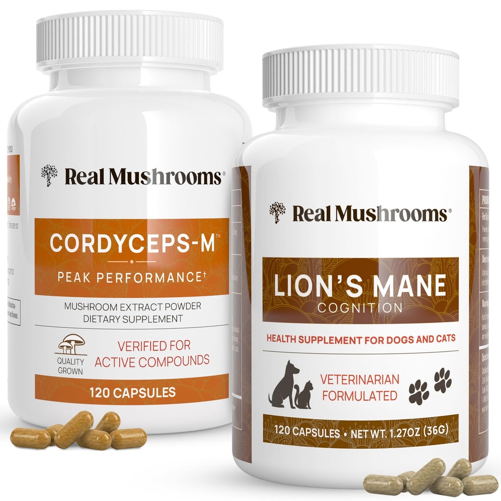 Echte Pilze Cordyceps für Menschen (120ct) und Lions Mane für Haustiere (120ct) - Bundle for Energy, Vitality & Cognition - Vegan, Non-GMO, Gluten-Free, Grain-Free Pilzextrakt Ergänzungen