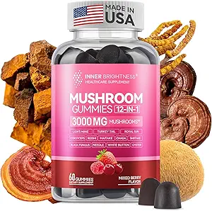 Reishi Mushroom Kapseln, mit Cordyceps & Chaga Mushroom, Ashwagandha, Complex for Immune Health, Vitality, Energy & Focus, 60 Count