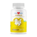Gleich für Hunde - 120 Kautabletten - S-Adenosyl-L-Methionin, Leberergänzung - Gehirngesundheit, fördert kognitive Unterstützung, Leberunterstützung (Same Tablet)