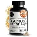 Atlantic Naturals Sea Moss und Shilajit Capsules – 5-in-1 Seamoss Shilajit Combo mit Bladderwrack, Burdock Root & Black Pepper – Sea Moss Ergänzungen für Absorption & Vitalität – 2705 mg – 60 Count