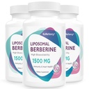 Berberine HCL Supplement 1500mg - Hohe Bioverfügbarkeit Liposomal Berberine Kapseln für Frauen und Männer, AMPK-Aktivator für Herz-Kreislauf-Gesundheit, Sugar-Free, Non-GMO,180 Softgele