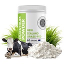 Intestinal Fortitude 100% Gras Fed Neuseeland Cows Colostrum Powder, Grassfed, Hormon Free, GMO Free, Optimal Gut Gesundheit und Immunsystem Unterstützung, Leaky Gut, IBD, 60 Gramm