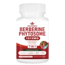 7-in-1 Berberine Phytosome mit Ceylon Cinnamon, Berberine Complex unterstützt Stoffwechsel, Leberfunktion und Immunsystem, Non-GMO, Gluten-Free - 60 Kapseln