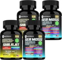 Sea Moss Black Seed Oil Ashwagandha Ginger Kapseln, Ergänzung mit Turmeric und Ginger Ergänzung Bladderwrack Burdock Root Organic,ACV Black Seed Oil - 240 Sea Moss Kapseln