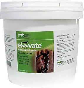 Kentucky Performance Produkte erhöhen Wartung Pulver, 10 Pfund, Vitamin E Pferdeergänzung