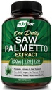 NutriFlair Saw Palmetto Extract 750mg, 120 Kapseln - Natürliche Prostata-Ergänzung & Berry-Gesundheitsunterstützung - Hilft Block DHT zu verhindern Haarausfall und hilft, häufige Urination zu reduzieren, für Frauen und Männer