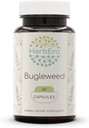 HerbEra Bugleweed 60 Kapseln, 400 mg, Made with Bugleweed (Lycopus Virginicus) Getrocknete Kräuter (60 Kapseln)
