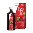 Hübner Iron Vital Liquid Iron Supply Plus Vitamin C, Nahrungsergänzungsmittel für Erwachsene und Kinder, Vegan und Glutenfrei, Fruchtgeschmack, 250 ml Flasche, 25 Portionen