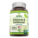 Herbal Secrets Echinacea & Goldenseal Root Supplement | 450 Mg pro Servieren | Veggie Kapseln | Non-GMO | Gluten-Free | Made in USA (120 Count)