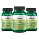 Swanson Lactobacillus Gasseri Probiotikum für Erwachsene, die Verdauungs- und Stoffwechselunterstützung mit 3 Milliarden CFU suchen - Säureresistent, keine Kühlung (60 vegane Kapseln, 3 Packung)