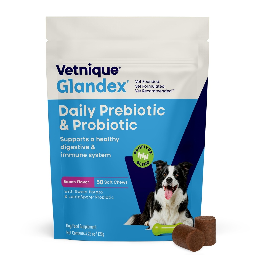Vetnique Glandex Daily Probiotics for Dogs with Prebiotics to support Gut Health with Fiber and Digestive Enzymes, Probiotic Chews oder Powders (30ct Chews, Bacon Chews)