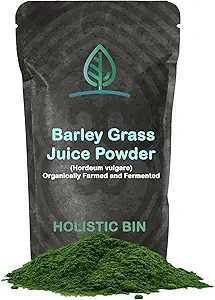 Holistic Bin Organic Gerste Grass Juice Powder - 100% Pure USDA Organic - Fermented with 35 Probiotic Strains - Nutrient-Dense Green Superfood for Smoothies - Unterstützt Verdauung - 30 Day Supply (50g)