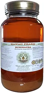 Echinacea Alcohol-Free Liquid Extract, Echinacea (Echinacea Angustifolia) Getrocknete Wurzel Glycerit Hawaii Pharm Natural Herbal Supplement 32 oz Unfiltriert