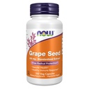 JETZT-Ergänzungen, Getreide 100 mg - Standardisierter Extrakt, hochkonzentrierter Extrakt mit einem Minimum von 90% Polyphenole, mit Vitamin C, 100 Veg Kapseln
