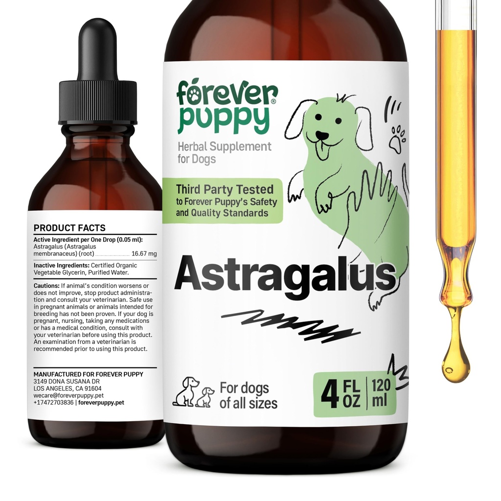 Forever Puppy Astragalus Root Drops für Hunde - Astragalus Membranaceus Extrakt für Hunde Immununterstützung - Kräuter Pet Liquid Supplements für Immunität & Joyful Pet Care - 4 oz