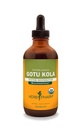 Kräuter Pharm Certified Organic Gotu Kola Flüssiger Extrakt für Musculoskeletal System Unterstützung - 4 Unze