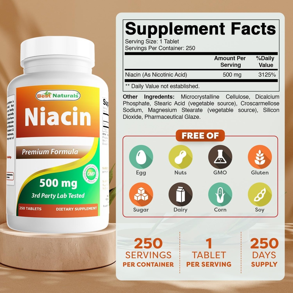 Best Naturals Niacin 500mg 250 Tabletten mit Spülung - auch genannt Vitamin B3 (250 Zähler (Pack von 2))
