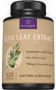 Premium Olivenblatt Extrakt Kapseln – Standardisiert auf 20% Oleuropein – Super Strength Olive Leaf Exact Supplement unterstützt Immunsystem & Herz-Kreislauf-Gesundheit – 750mg pro Kapsel – 120 Kapseln