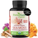 ForestLeaf Organic Irish Sea Moss Capsules | 2100mg Raw Seamoss Pills Advanced Supplement Superfood + Burdock, Bladderwrack für Verdauungs-, Atemschutz-, Immun-Gesundheit | 90 Vegan Bio Sea Moss Caps