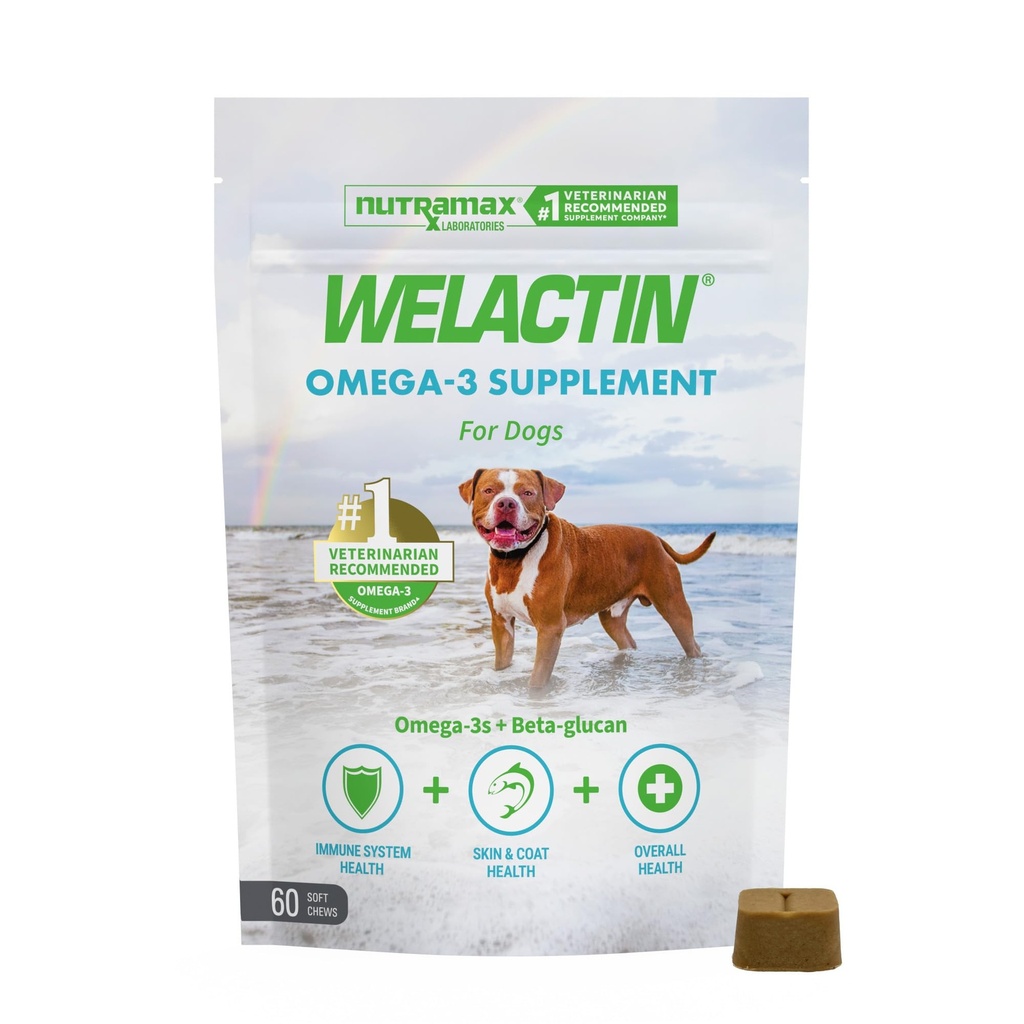 Nutramax Welactin Omega 3 Fischöl für Hunde, Haut und Mantel Health Supplement, Plus Immun- und Gesamtgesundheit, Premium Omega 3 Fettsäuren, Multivitamin für Hunde, Weichkäfer, 60 Zähler