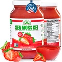 Wildcrafted Irish Sea Moss Gel | Made in USA | Rich in Vitamine & Minerals | Sea Moss Gel Raw | Nutritional Supplement | Erdbeere (16 oz)