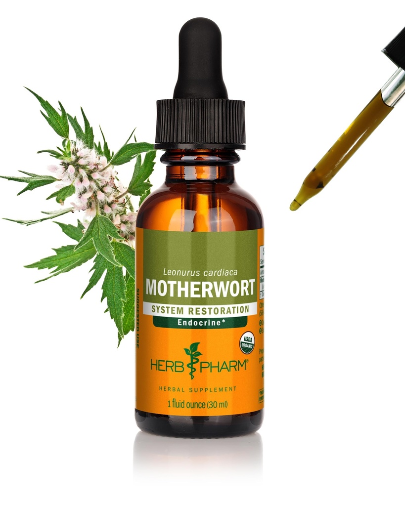Kräuter Pharm Certified Organic Motherwort Liquid Extract für Endocrine System Support - 1 Unze