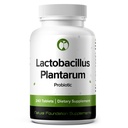 Lactobacillus Plantarum Probiotic Supplement 240 Tabletten 3 Billion CFU Probiotics für Männer und Frauen unterstützt Darm Verdauungs- und Gutgesundheit (240, Lactobacillus Plantarum)