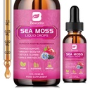 Sea Moss Liquid Drops - Organic Black Seed Oil Irish Sea Moss Gel mit Burdock Root, Bladderwrack, Elderberry, Vitamin C, D3, 6X Stronger Seamoss Gel für Verdauung, Haargesundheit - Vegan