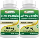Best Naturals Ashwagandha Extract 500 Mg 120 Capsules (Pack of 2)