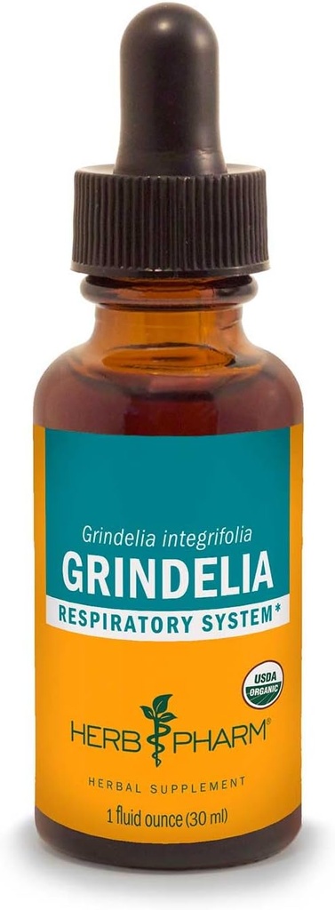 Kräuter Pharm Grindelia Flüssiger Extrakt für Atemsystemunterstützung - 1 Unze (DGRIND01)