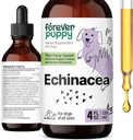 Forever Welpen Echinacea Tropfen für Hunde - Immunität Unterstützung & Atemschutz Gesundheit w/Echinacea Kräuterextrakt - Flüssige Immununterstützung Ergänzung für Hunde aller Rassen & Größen - 4 oz