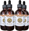 Hawaii Pharm Saw Palmetto (Serenoa Repens) Flüssiger Extrakt 4x4 fl.oz