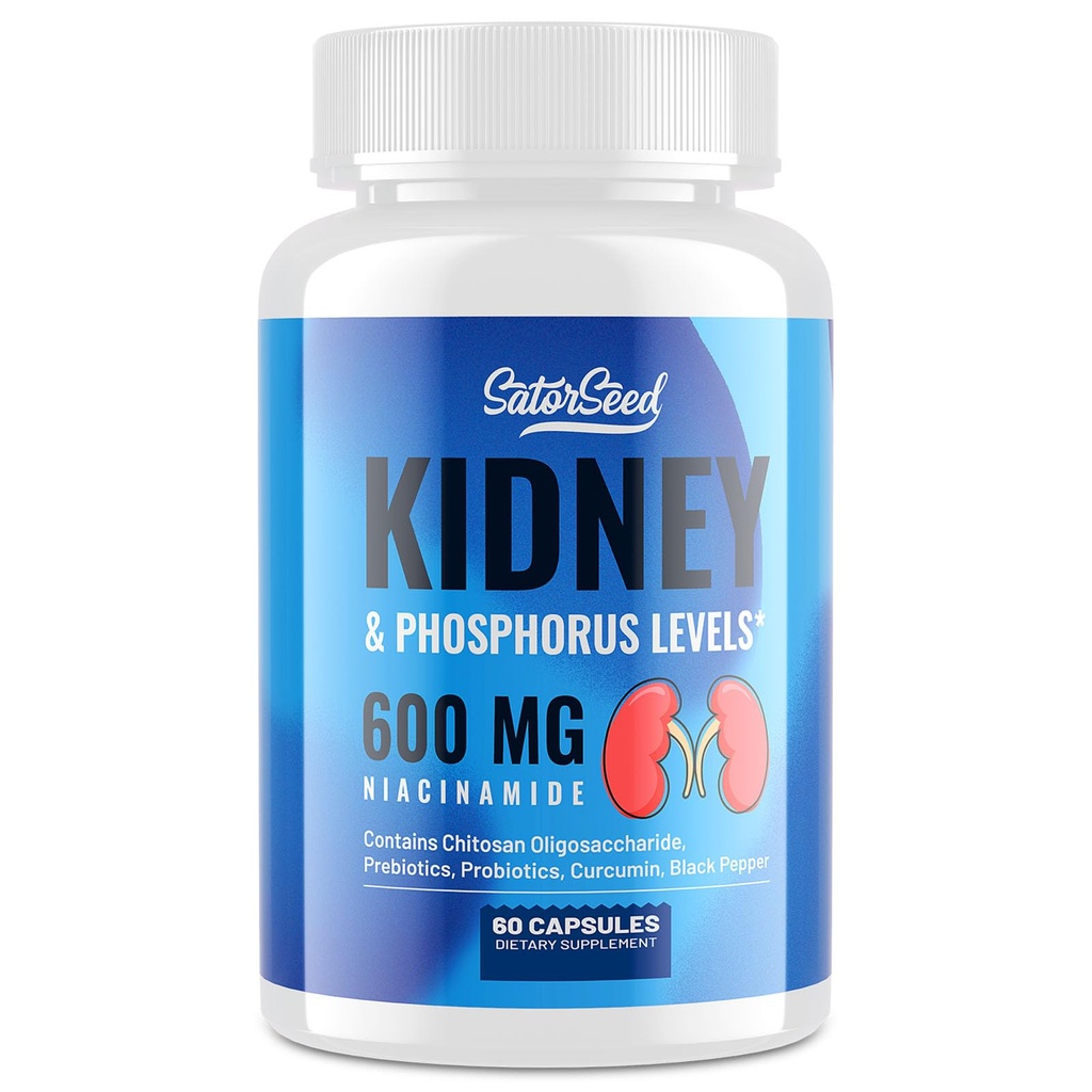 Nierenreiniger Detox & Repair – Nierenunterstützungsergänzung mit 600mg Niacinamid, Chitosan Oligosaccharid, Curcumin, Probiotics – Phosphor Binder – 60 Kapseln