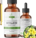 Mullein Tincture – Organic Mullein Drops for Lung Support & Respiratory Wellness – Made in The USA – 2 Fl Oz
